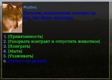 Диалог с питомцем